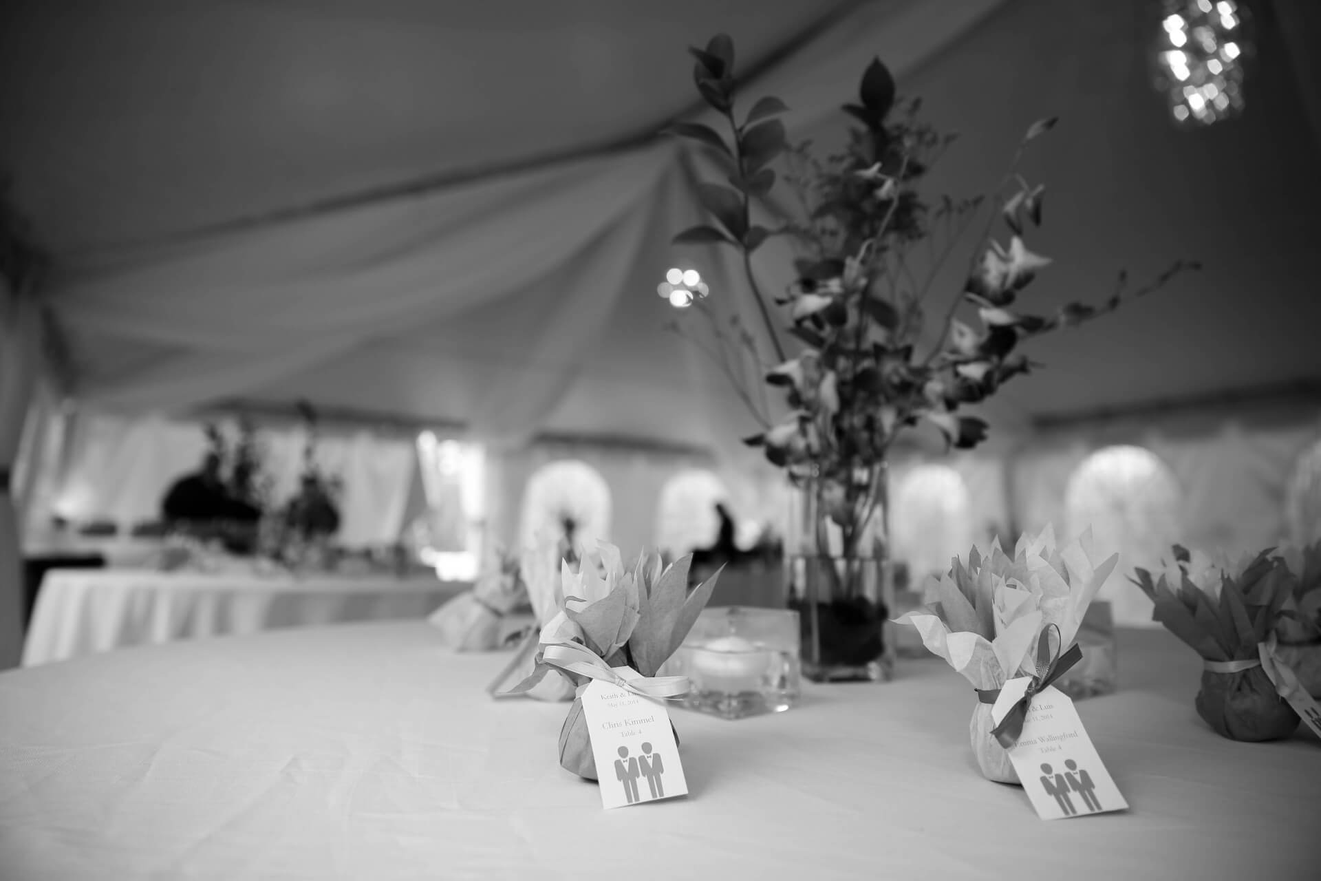 Wedding Photographer Stone Mountain Lodge Wedding Tables