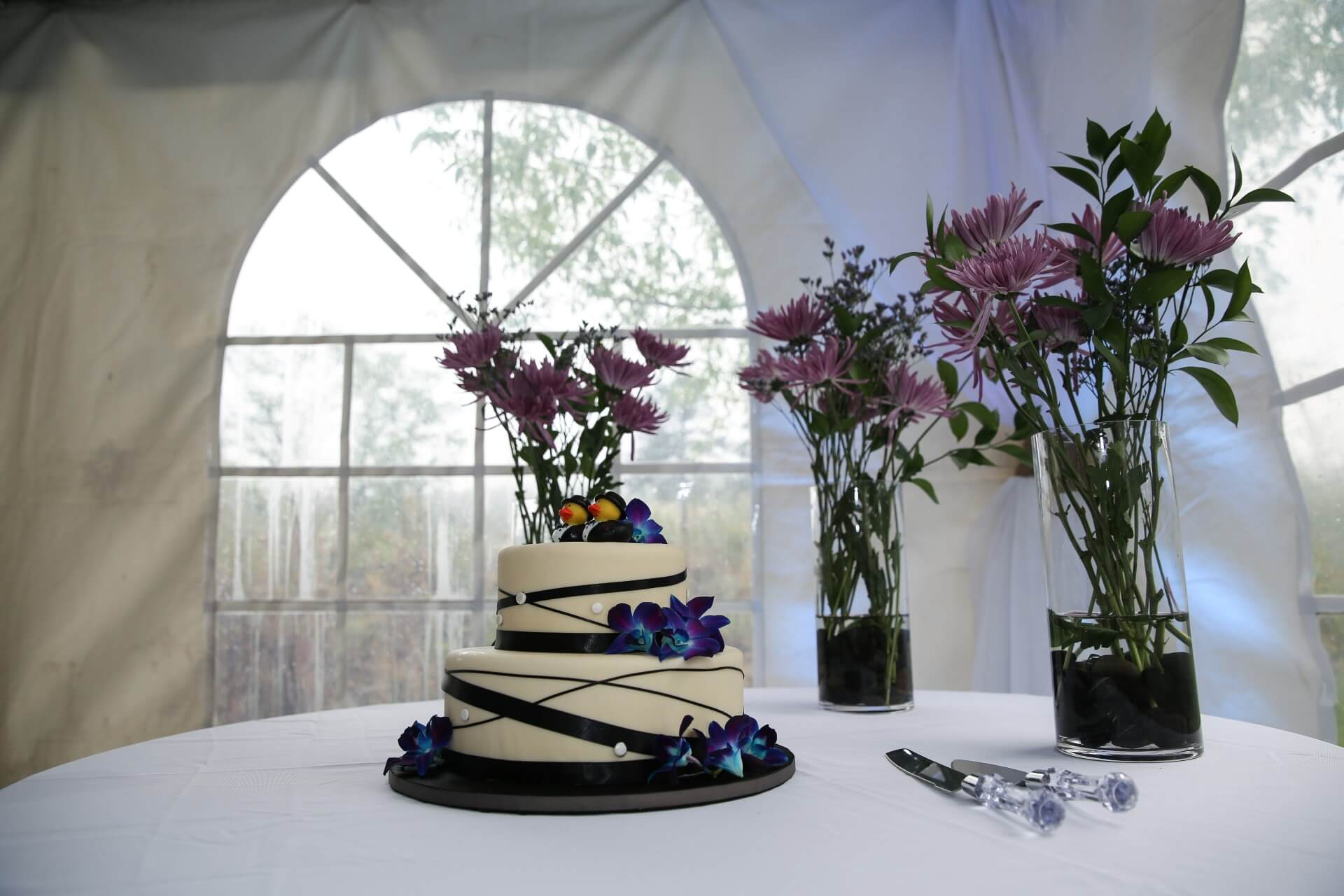 Wedding Photographer Stone Mountain Lodge Wedding Cake